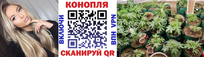 Хочу наркоту Калининск СОЛЬ  КОКАИН  АМФЕТАМИН  Каннабис  ссылка на мегу   ГАШИШ 