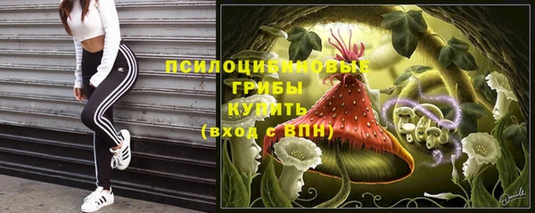 гидра Алексеевка