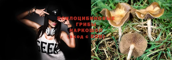 гидра Алексеевка