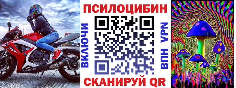 OMG зеркало  Калининск  Псилоцибиновые грибы Psilocybine cubensis  купить наркотики сайты 